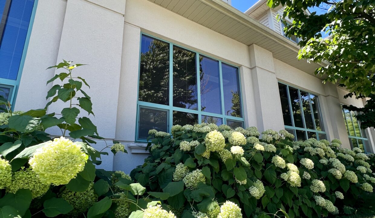 Whitney & Company Commercial Real Estate