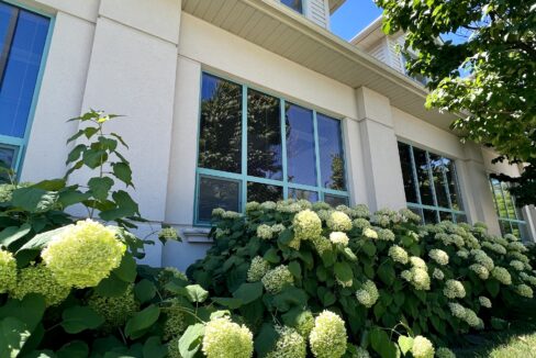Whitney & Company Commercial Real Estate