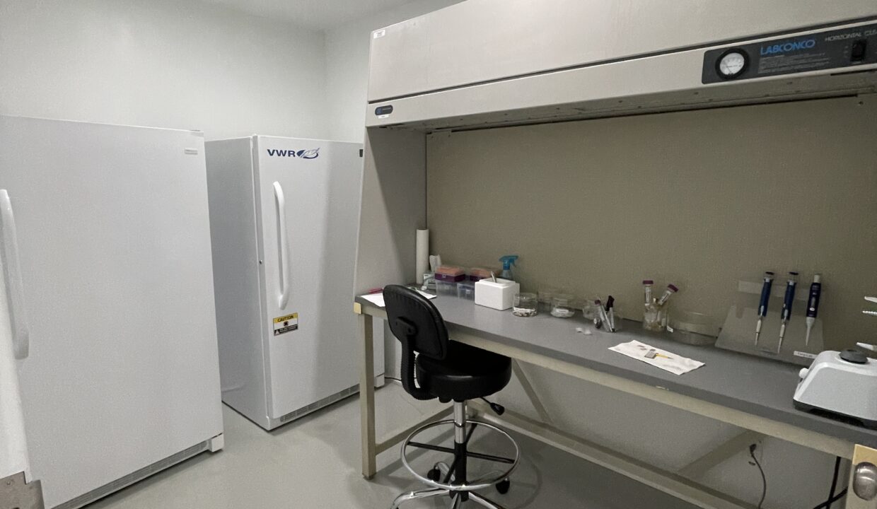 Whitney & Company Commercial Real Estate