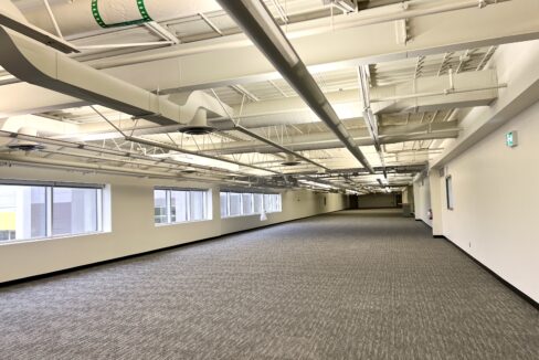 Whitney & Company Company Commercial Real Estate