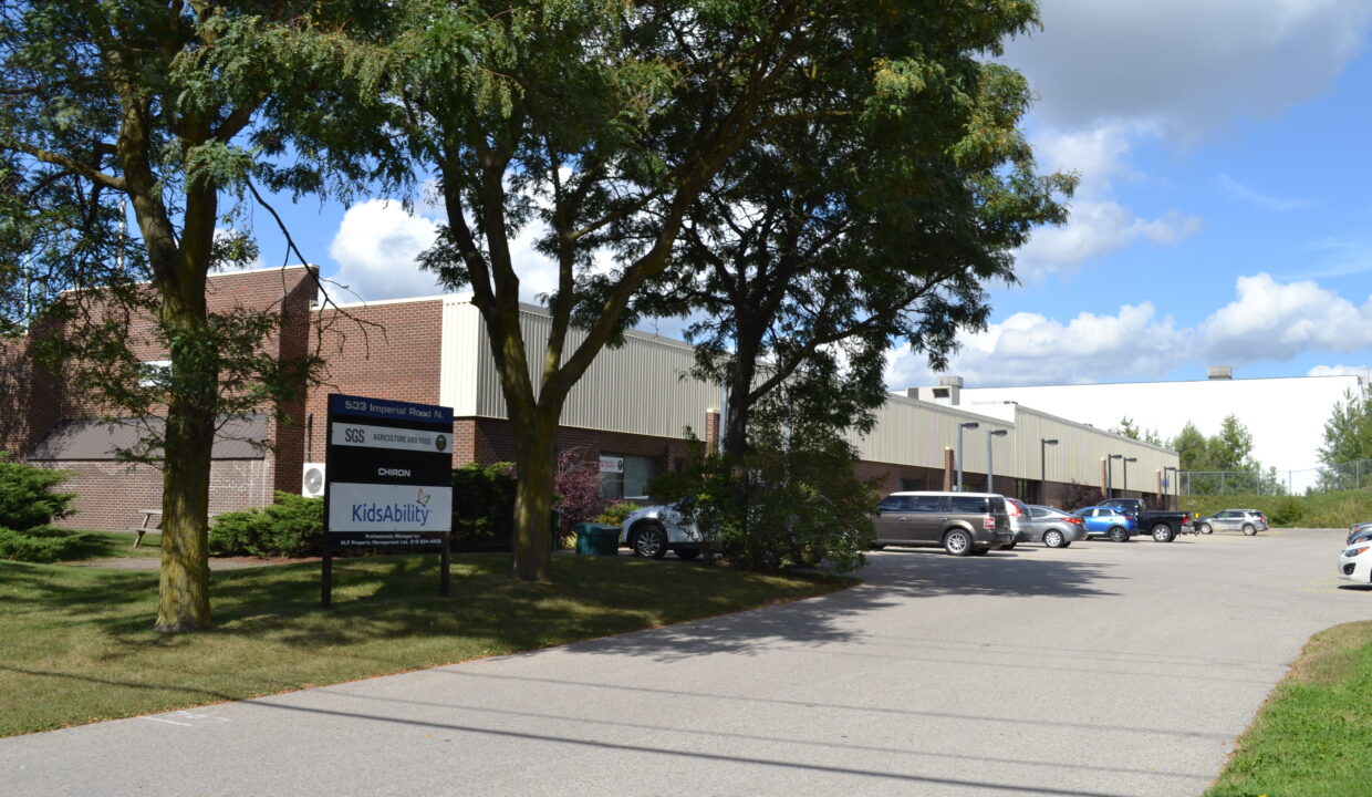 whitney & company commercial real estate